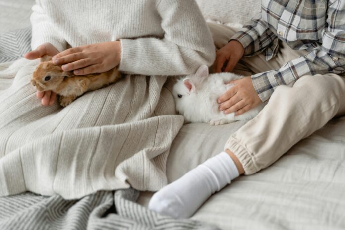 Foto von Tima Miroshnichenko: https://www.pexels.com/de-de/foto/niedlich-suss-kinder-hase-6846031/